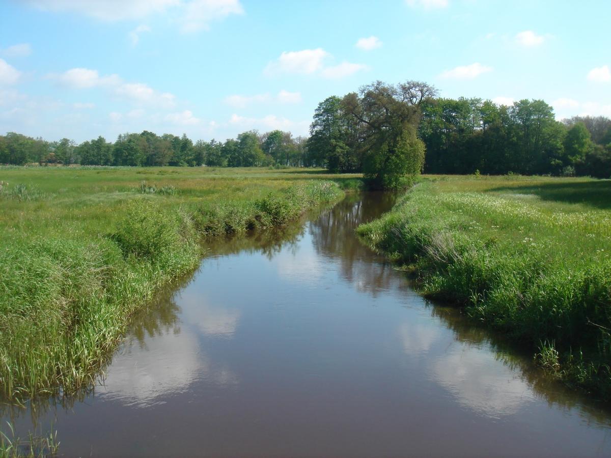 Herberg De Fazant Oudemolen Esterno foto